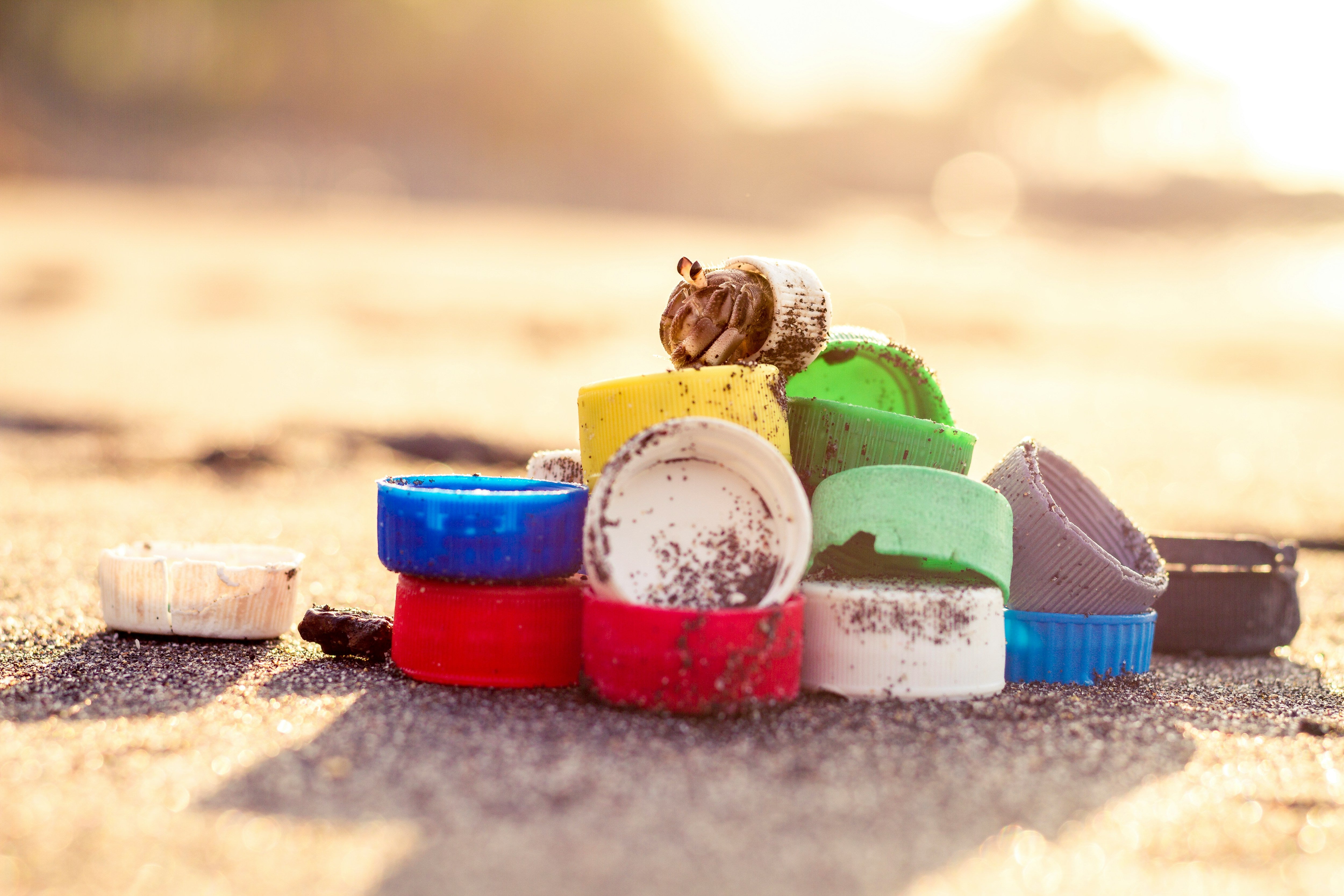 Embracing Vegan Jewelry: Why I Don’t Use Shells In My Creations