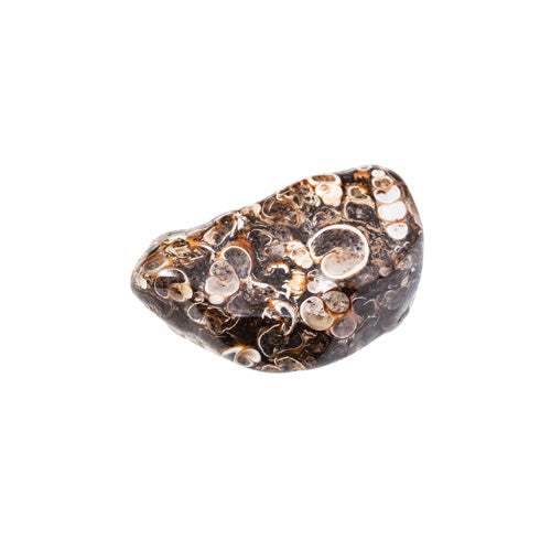 Natural Gemstone Jewelry created with Turritella Agate | Emerald Sun Creations