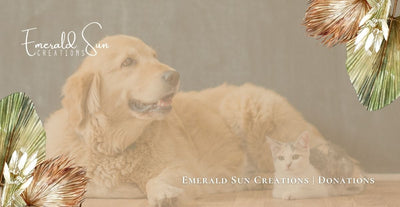 For Susie Q | For Holly & her Pups